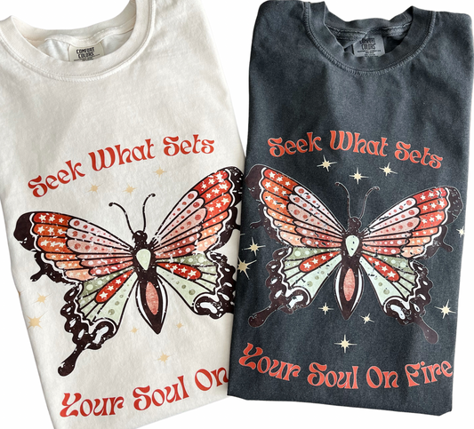 Seek What Sets Your Soul On Fire T-shirt